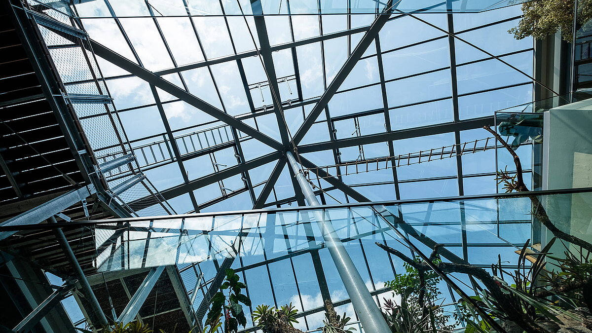 Blick auf die PR60-Glaskonstruktion im Zoo Neuwied mit Pflanzen und Kletterelementen im Vordergrund.