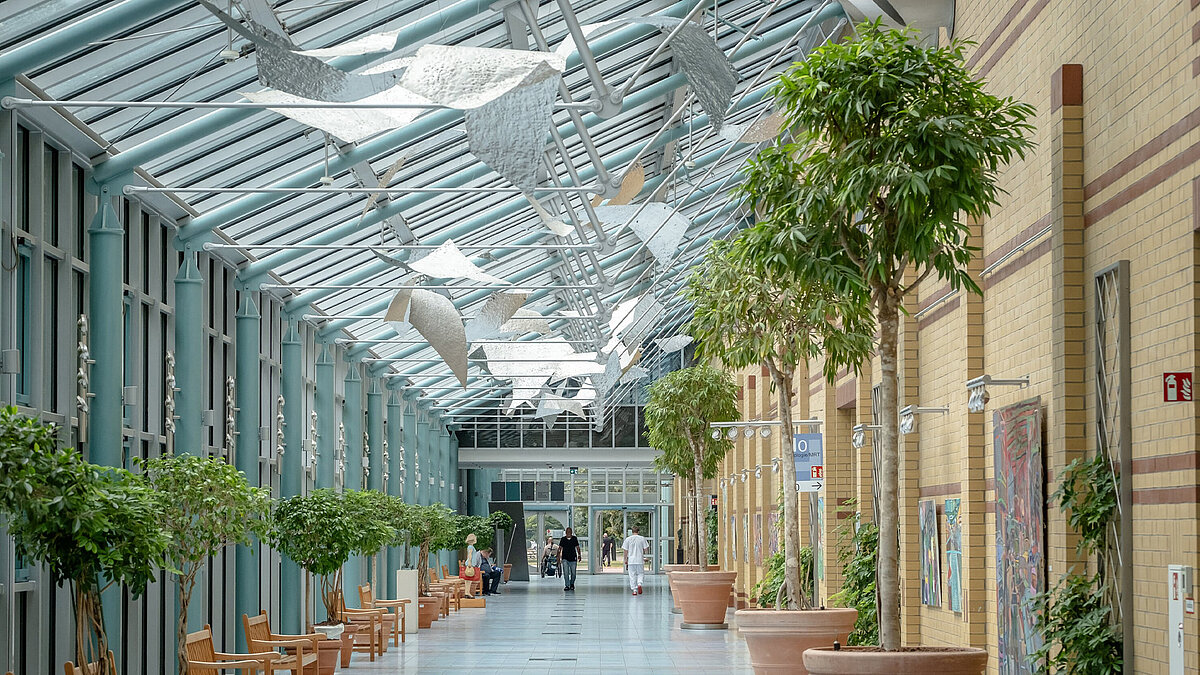 Begrünter Gang mit Glasdach 