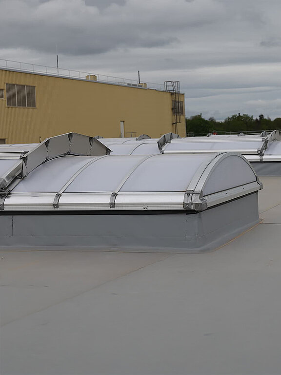 Lichtbänder auf dem Dach der Heidelberger Druckmaschinen zur natürlichen Tageslichtbeleuchtung.