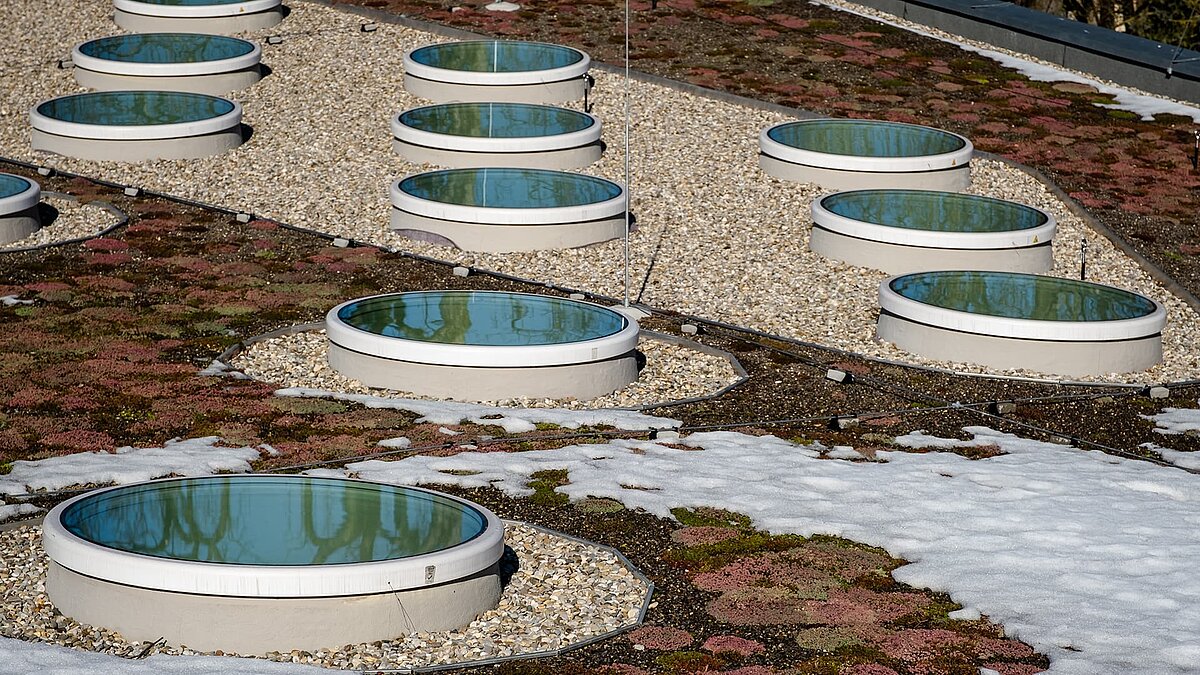 Runde Flachdach-Fenster auf dem begrünten Dach des Kindergartens St. Severin, teilweise mit Schnee bedeckt.