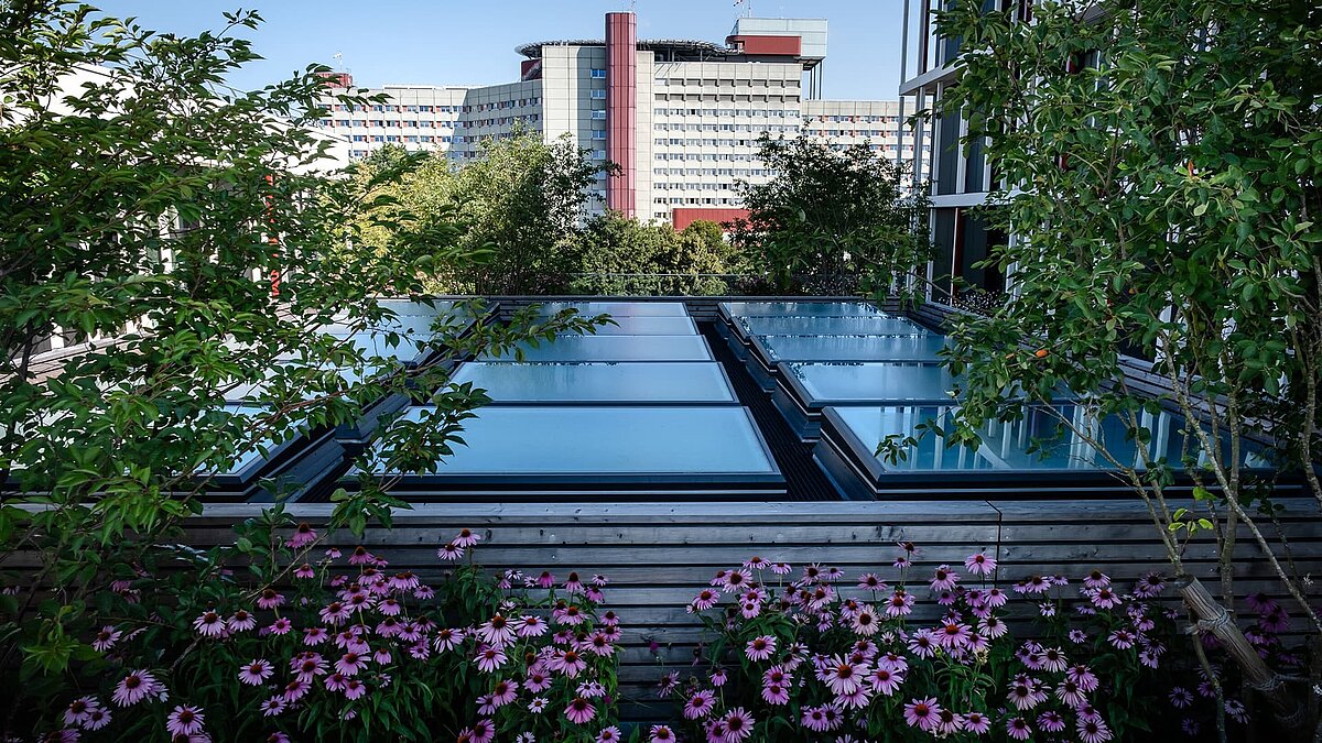 Flachdach mit Lichtbändern, umgeben von grünen Bäumen und Pflanzen im Vordergrund