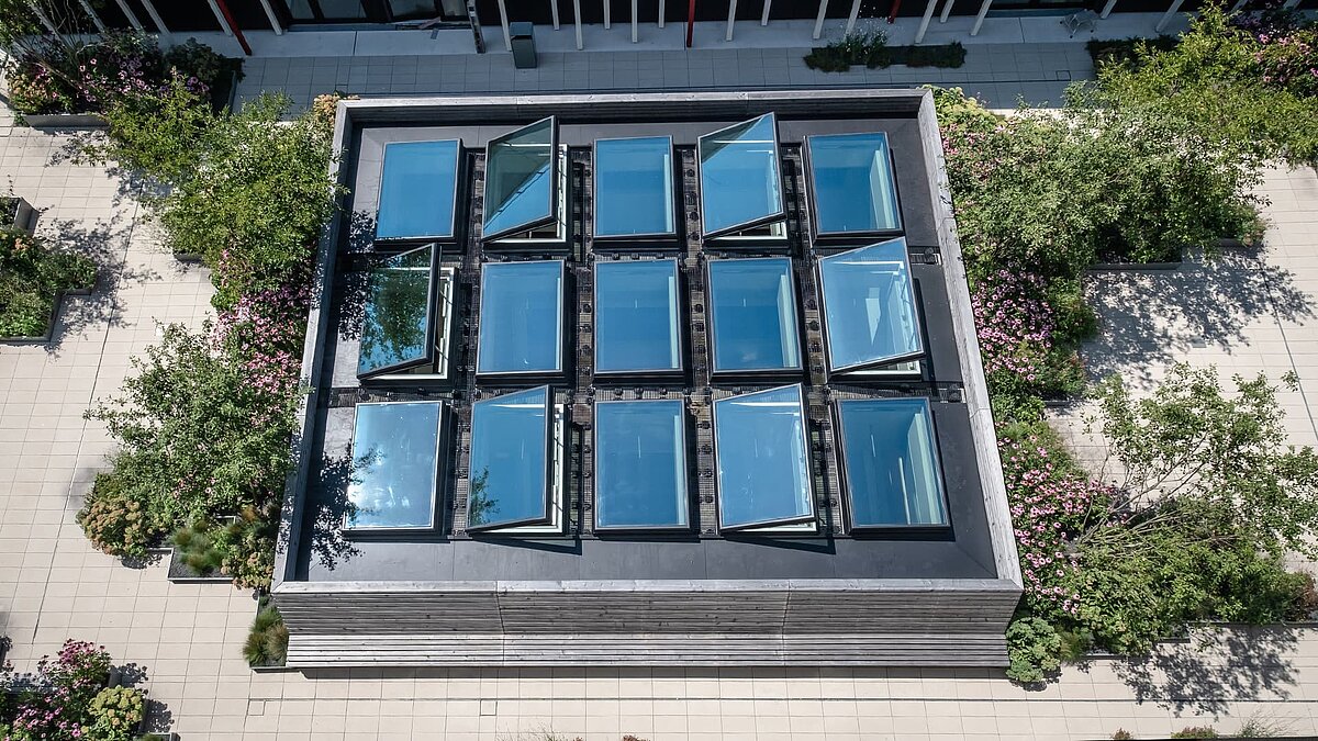 Luftaufnahme eines quadratischen Glasdachs, umgeben von grünen Pflanzen auf einem Flachdach