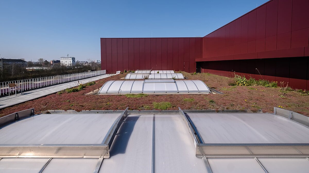 Begrüntes Flachdach des Opernfundus der Hamburgischen Staatsoper mit Lichtbändern und moderner Architektur.