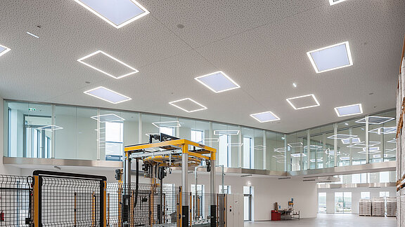 Außenansicht vom Dach des Zaltech-Gebäudes in Moosdorf, Österreich, mit LAMILUX Flachdach Fenstern F100 und runden Flachdach Fenstern FE.