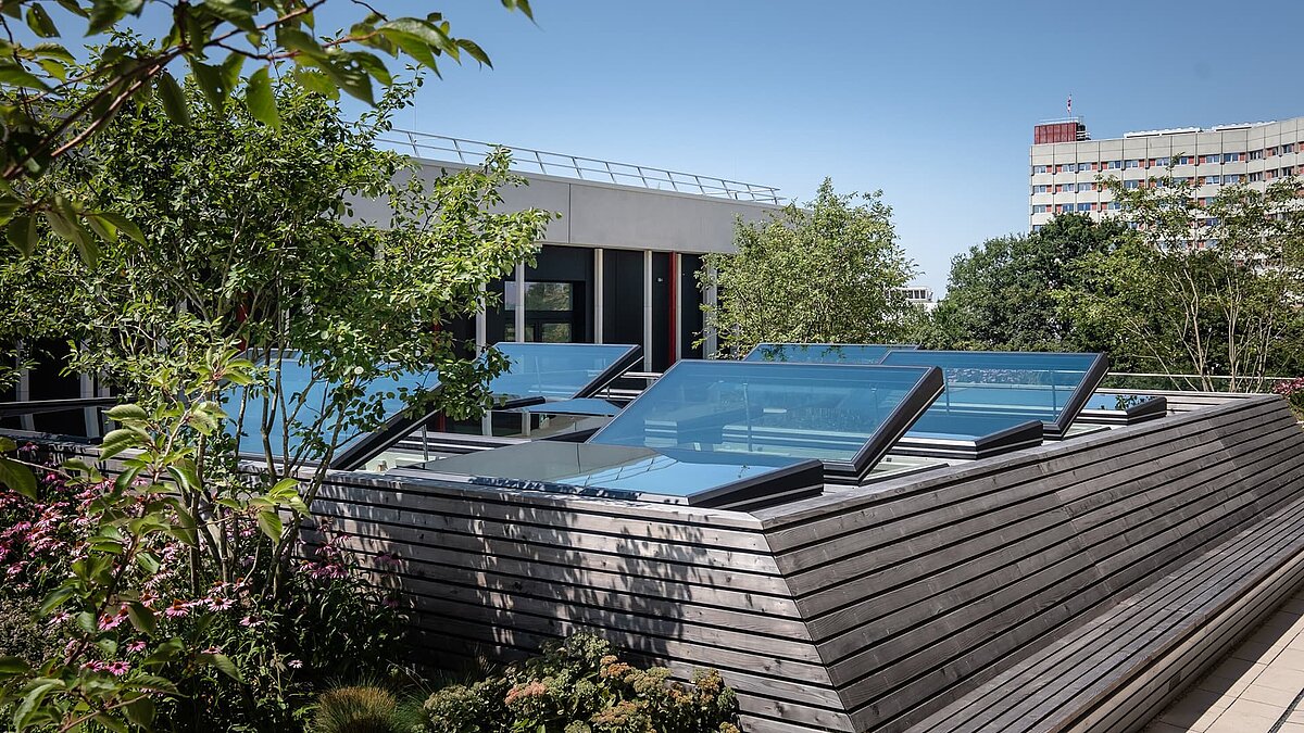 Glasdächer auf einem begrünten Flachdach mit Pflanzen und Bäumen im Vordergrund