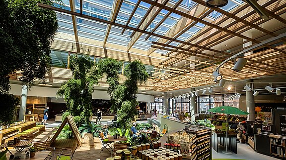 Innenbereich des Naturkostladens Byodo in Mühldorf mit Pflanzen, Tageslicht und Holz-Elementen.