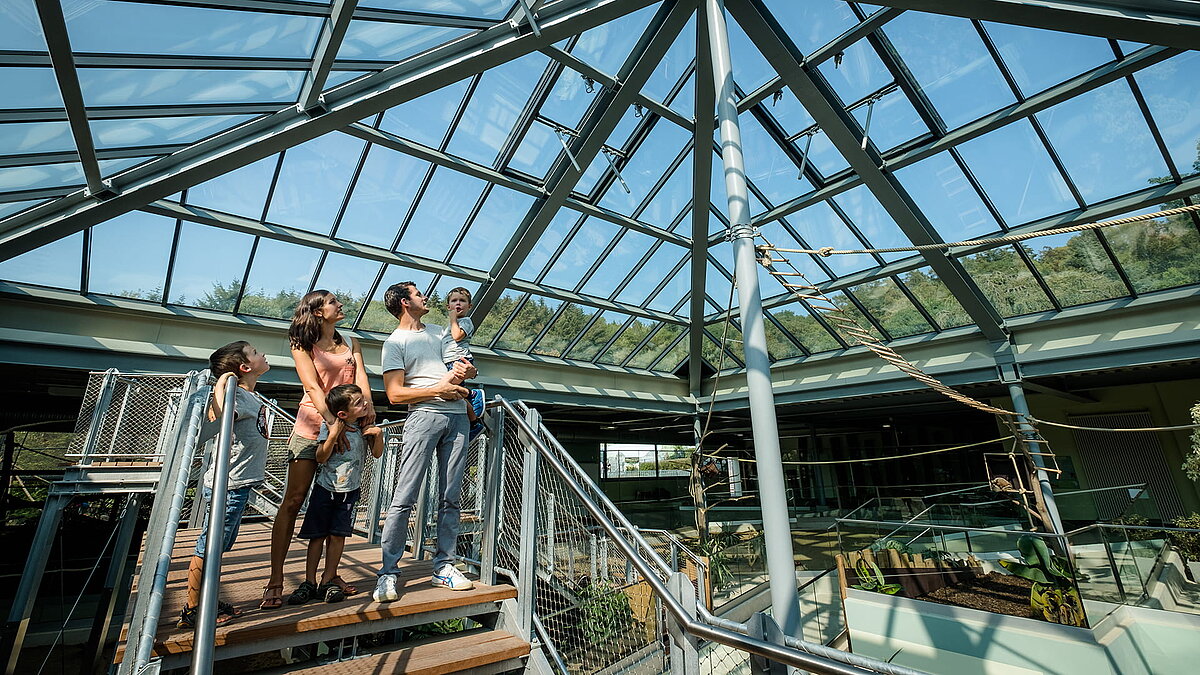 Besucher im Zoo Neuwied unter der PR60-Glaskonstruktion, die den Innenbereich lichtdurchflutet.