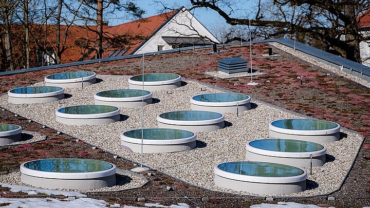 Anordnung der runden Flachdach Fenster auf dem Kindergartendach Architektonische Anordnung der Tageslichtelemente auf dem Kindergartenneubau | insights by LAMILUX